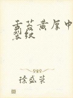 舌苔黄厚中间有裂纹封面