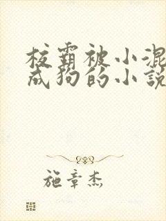 校霸被小混调练成狗的小说免费阅读