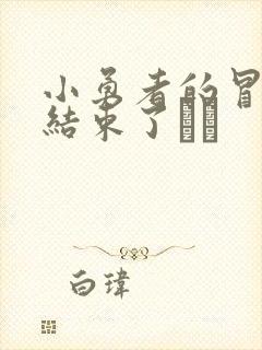 小勇者的冒险要结束了封面