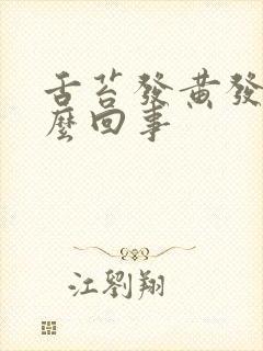 舌苔发黄发白怎么回事