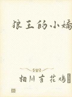 狼王的小娇妻封面