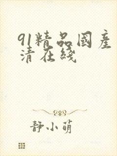 91精品国产高清在线