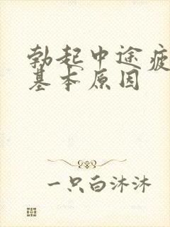 勃起中途疲软的基本原因