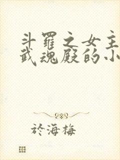 斗罗之女主加入武魂殿的小说