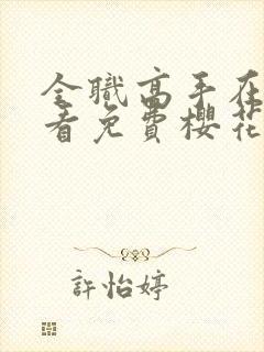 全职高手在线观看免费樱花动漫