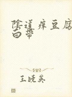 阴道痒豆腐渣状白带