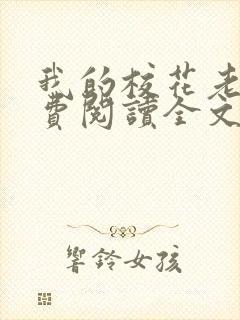 我的校花老婆免费阅读全文封面