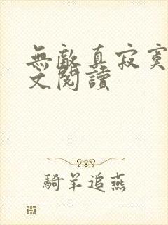 无敌真寂寞 全文阅读封面