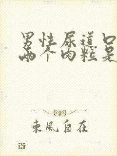 男性尿道口长了两个肉粒是怎么回事