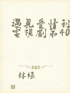 遇见爱情利先生电视剧第40集