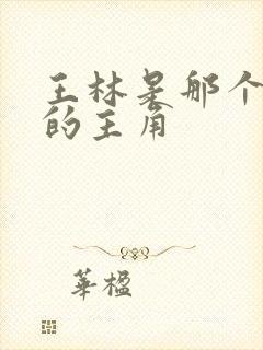 王林是那个小说的主角