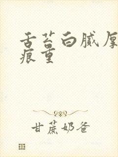 舌苔白腻厚 齿痕重