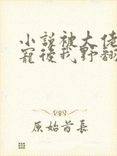 小说被大佬们团宠后我野翻了免费阅读全文封面