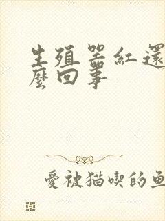 生殖器红还痒怎么回事