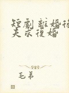 短剧 离婚后前夫求复婚