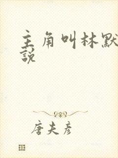 主角叫林默的小说