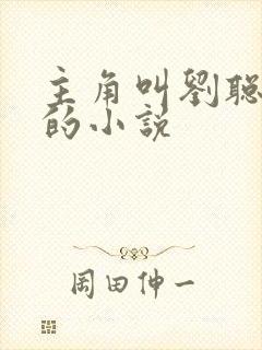 主角叫刘聪赵兰的小说封面