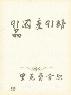 91国产91精品封面