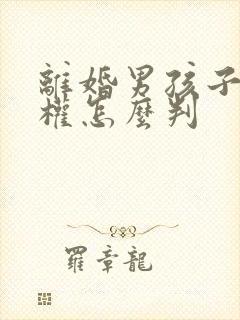 离婚男孩子抚养权怎么判