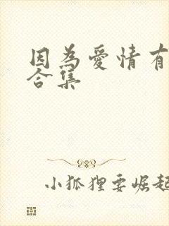 因为爱情有多美合集