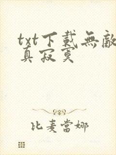 txt下载无敌真寂寞