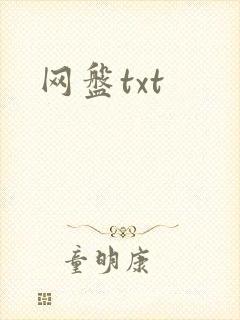 网盘txt