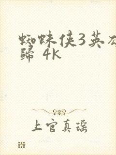 蜘蛛侠3英雄无归 4k