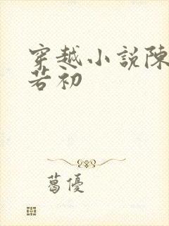 穿越小说陈凡苏若初