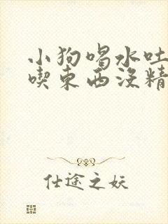 小狗喝水吐水不吃东西没精神