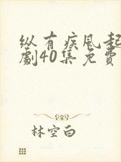 纵有疾风起电视剧40集免费观看