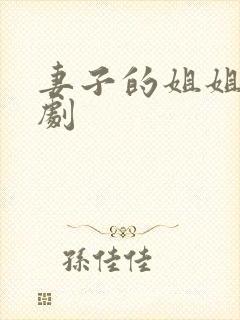 妻子的姐姐 韩剧封面