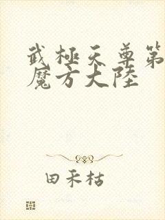 武极天尊第三部魔方大陆