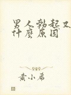 男人勃起又软了什么原因