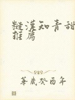 糙汉知青甜宠文推荐