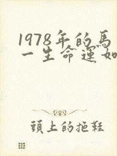 1978年的马一生命运如何