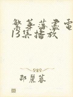 繁华落尽电视剧13集播放封面