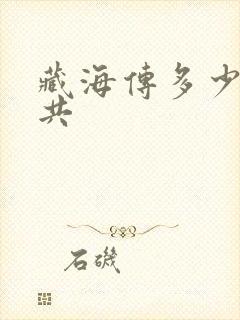 藏海传多少集一共