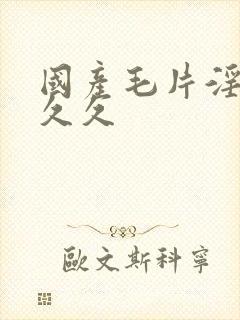 国产毛片淫片久久久