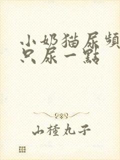 小奶猫尿频一次只尿一点封面