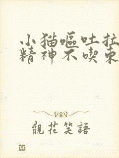 小猫呕吐拉稀没精神不吃东西