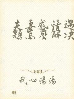 夫妻感情遇到问题怎么解决封面