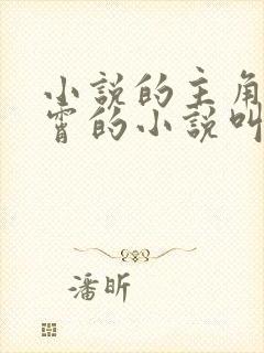 小说的主角是林霄的小说叫什么名