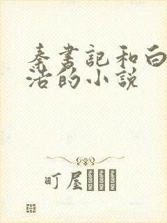 秦书记和白云田浩的小说