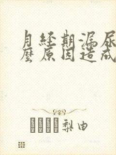 月经期漏尿是什么原因造成的封面