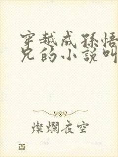 穿越成孙悟空师兄的小说叫什么