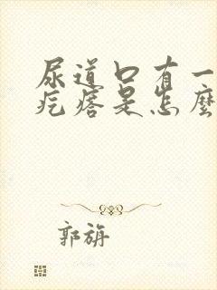 尿道口有一个小疙瘩是怎么回事