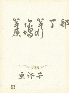 等你等了那么久原唱dj