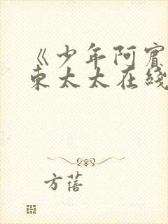 《少年阿宾》房东太太在线