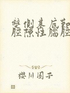 双侧基底节多发腔隙性脑腔梗塞