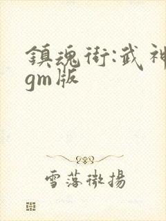 镇魂街:武神躯gm版
